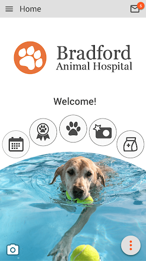 Bradford Animal Hospital Screenshot 0