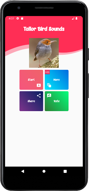 Tailorbird Sounds Screenshot 0