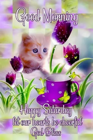 Cards Good morning Screenshot 0