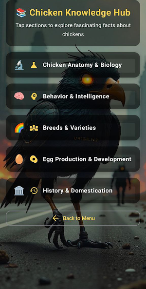 Chicken Road Screenshot 3