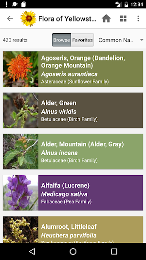 Flora of Yellowstone Screenshot 2