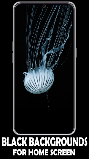 Black Wallpapers App Screenshot 1