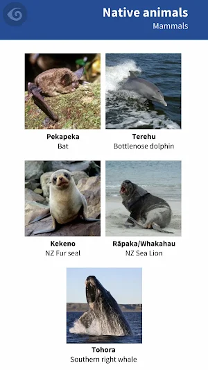 Te Karanga o Murihiku Screenshot 2