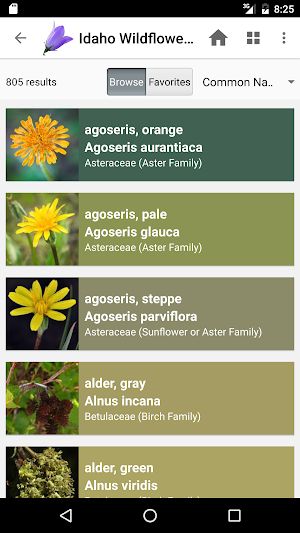 Idaho Wildflowers Screenshot 2