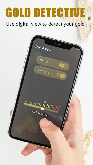 Gold and Metal Detector Screenshot 1