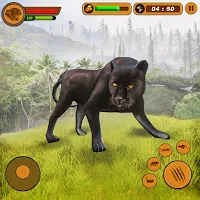 Panther Games Animal Sim 3D