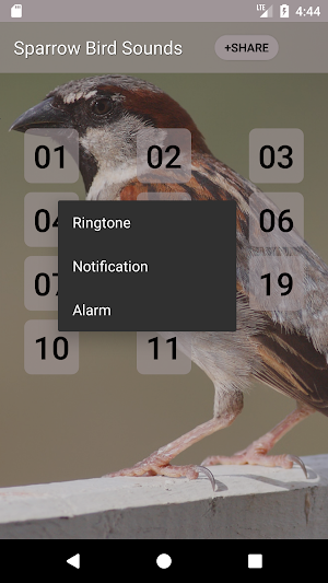 Sparrow Bird Sounds Screenshot 1