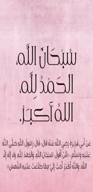 كتاب حصن المسلم pdf Screenshot 0