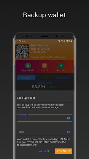 Bitcoin Testnet Wallet Screenshot 3