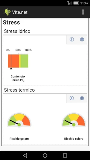 vite.net Screenshot 3