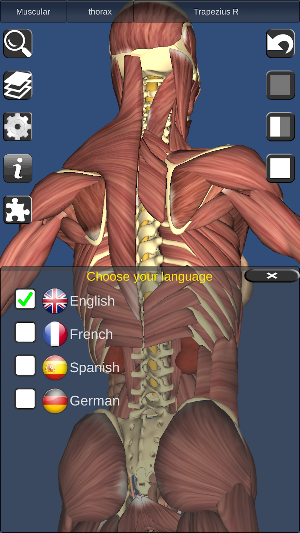 3D Bones and Organs (Anatomy) Screenshot 3