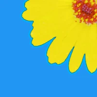 Gallery - photo gallery pro