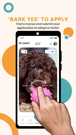Bearlot’s Furry Friends Screenshot 3