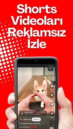 Şarkıfy: PlayTube Screenshot 3
