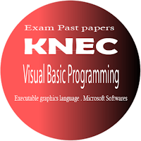Visual Basic Programming