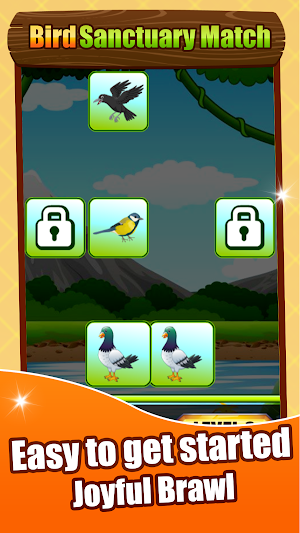 Bird Sanctuary Match Screenshot 3