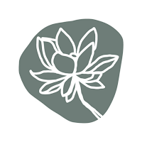 Lotus Yoga Studio