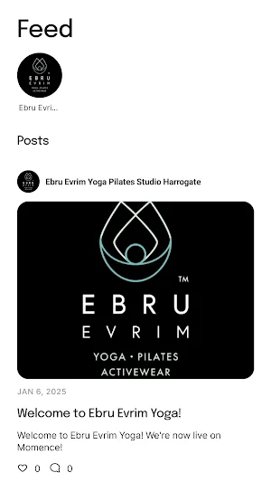Ebru Evrim Studio Screenshot 3