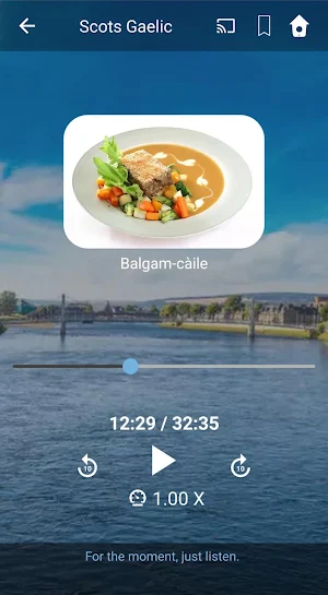 Learn Scots Gaelic. Speak Scots Gaelic. Screenshot 2