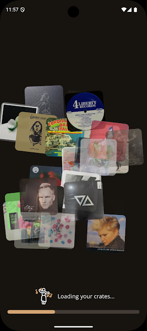 Shelfify - Vinyl Organizer Screenshot 3