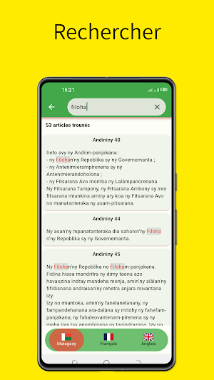 Constitution Malagasy Screenshot 3