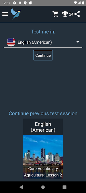 American English Test Screenshot 0