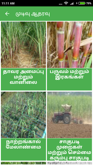 Sugarcane Expert System Tamil Screenshot 2