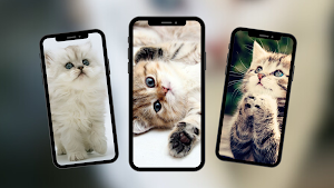 Cats Wallpaper Screenshot 0