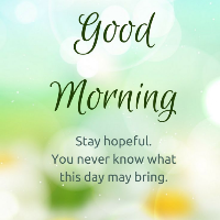 Daily quotes and status