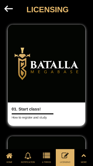 Batalla Megabase Screenshot 2