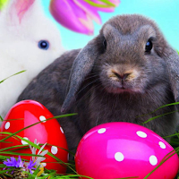 Easter wallpapers