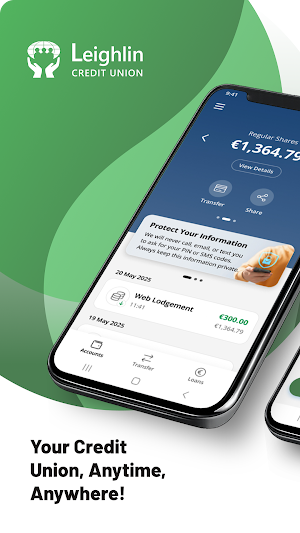 Leighlin Credit Union Screenshot 0