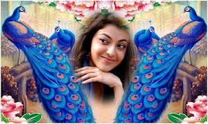 Beautiful Peacock Photoframes Screenshot 0