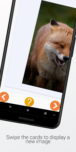 Fox Images and Facts Screenshot 3