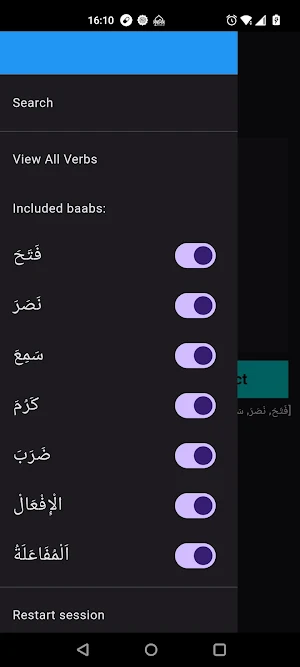 Arabic Verb Baab Practice Screenshot 2