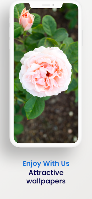Theme for Vivo V21 Screenshot 3