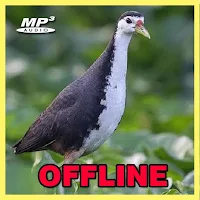 Pancingan Ruak Ruak Offline