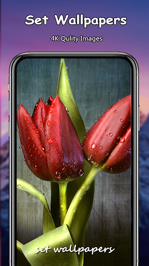 Tulip Wallpapers PRO Screenshot 3