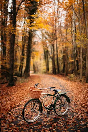 Fall Wallpaper 2023 Screenshot 0