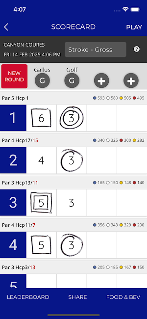 Meadowbrook Golf Club Screenshot 2