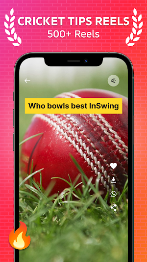 Cricket Tips Videos Screenshot 0