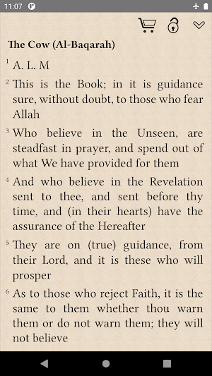 Quran Pro Screenshot 3