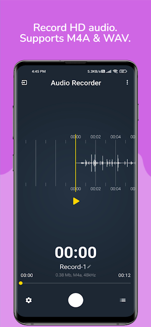 Audio Recorder Screenshot 0