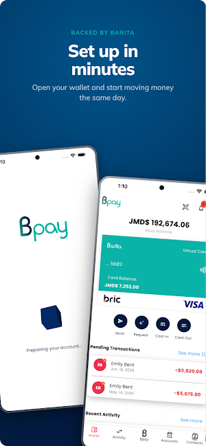 Bpay by Barita Screenshot 0
