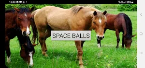 Ache o Cavalo Screenshot 1