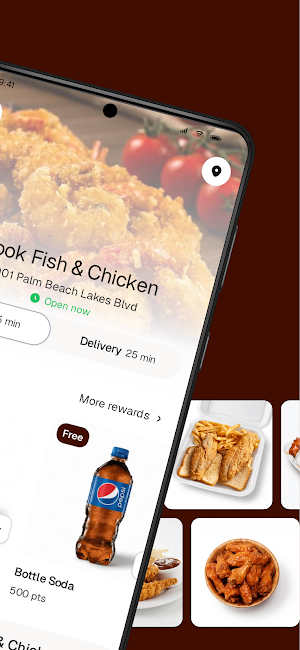 Hook fish and chicken FL Screenshot 1
