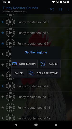 Funny Chicken Sounds ~ Sboard.pro Screenshot 2