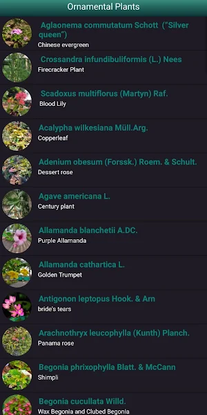 Floral Safari Screenshot 2