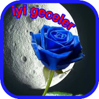 Iyi geceler