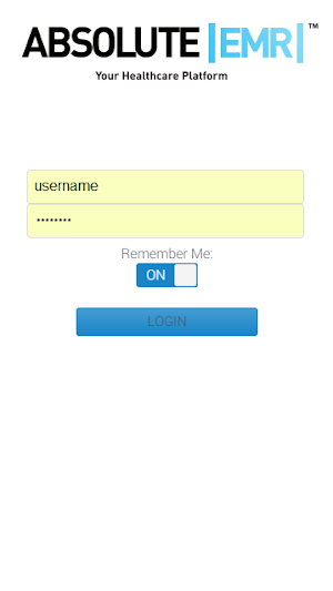 Absolute EMR Screenshot 0